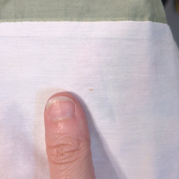 Rena Lange Pale Green Pleated Skirt - Picture 5 of 5